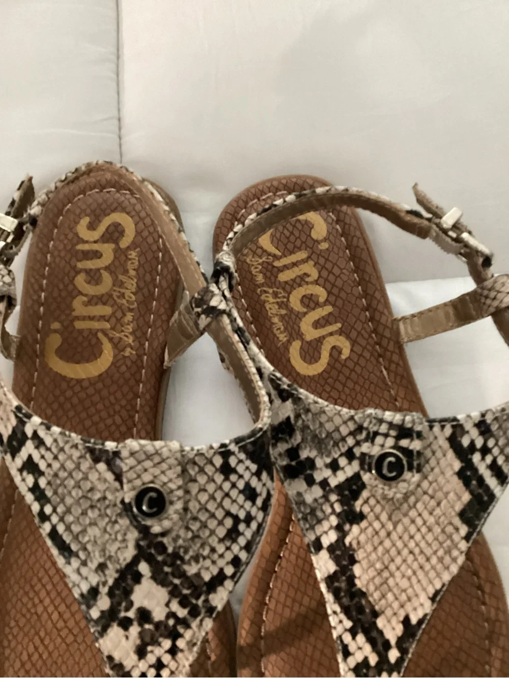 Circus by Sam Edelman Faux Snake-Print Thong Sandals in Brown and Beige